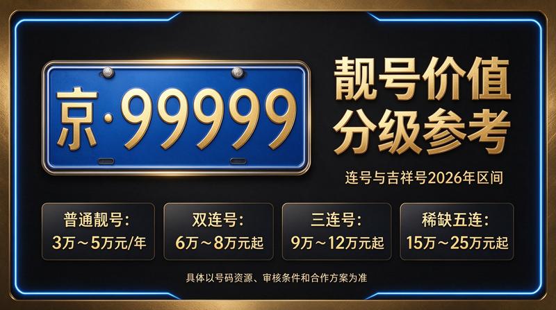 2026年新能源车指标租赁服务